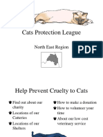 Cats Protection League: North East Region