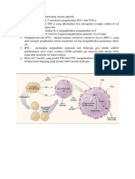 Patogenesis Dan Patofisiologi Anemia Aplastik