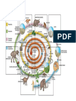 Folha para Imprimir - Cores PDF