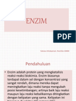 enzim.ppt