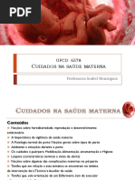 PPT Cuidados na Saúde Materna