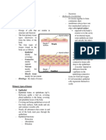 Body Tissues: Reference: Marieb Prepared By: Wrcruz, PTRP Hallmarks of Epithelium