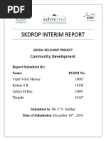 SRP INTERIM REPORT.docx