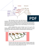 Pohon Filogenetika Atau Pohon Evolusi Adalah Diagram Percabangan Atau Pohon Yang Menunjukan Evolusi Antara Berbagai Spesies Makhluk Hidup Berdasaran Kemiripan Dan Perbedaan Karakteristik Fisik Dan Genetik