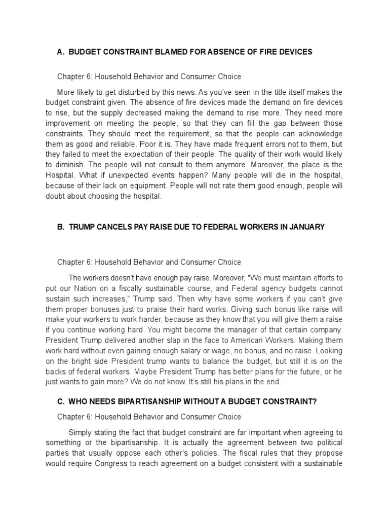 Budget Constraint | PDF | United States Congress | American Government