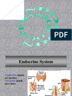 Endocrin Physiology