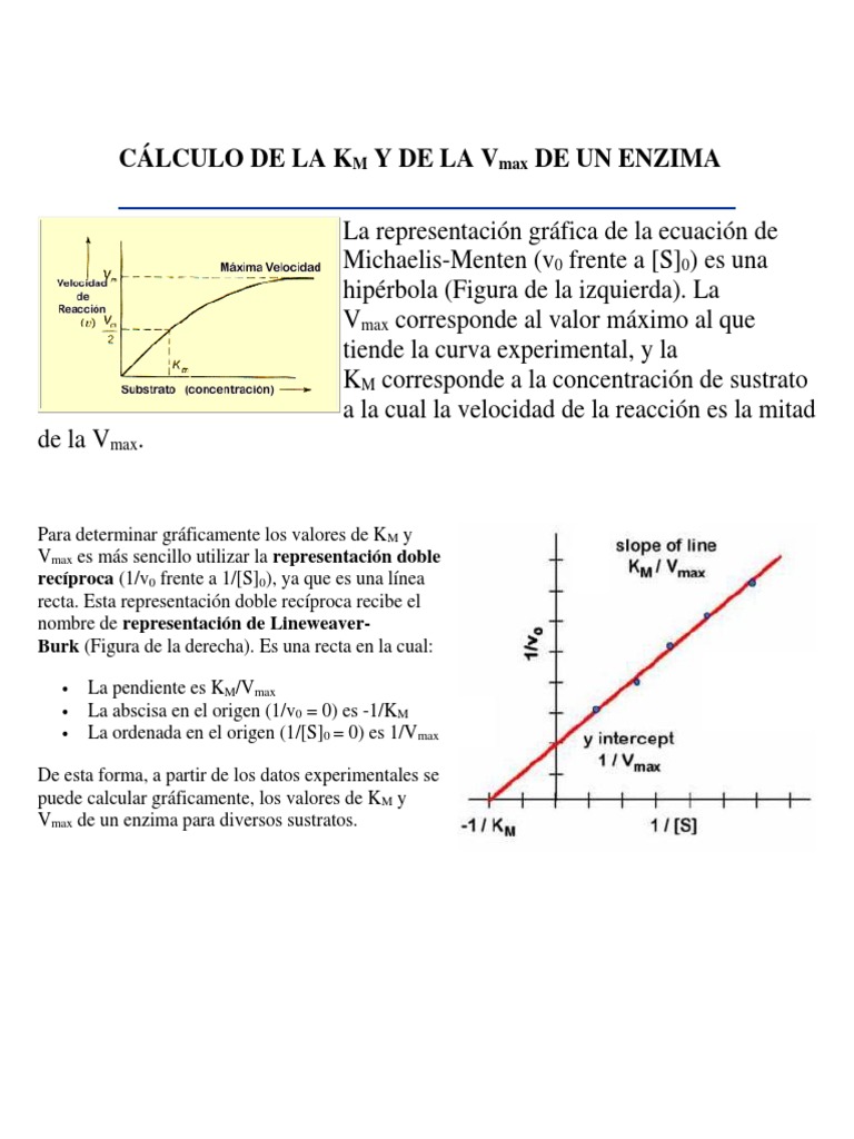 Cálculo de KM y Vmax en Enzimas | PDF | Enzima | Concentración