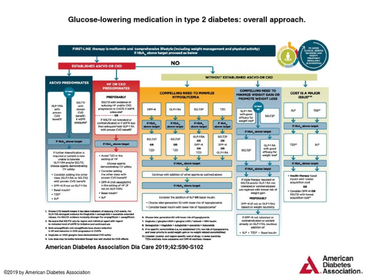 Glucose-Lowering Medication in Type 2 Diabetes: Overall Approach | PDF