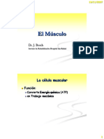 El Múscul[1]...pdf