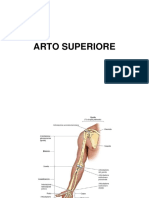 Immagini Arto-Superiore PDF