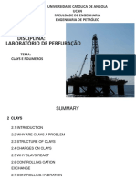 Clay Polymers Osvaldo Ndonga Versao Final 2019
