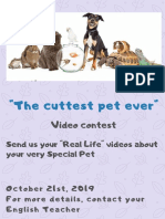 Cutest Pet Video Contest