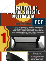 Dispozitive de Intrare Și Ieșire Multimedia