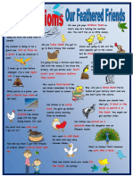 Bird Idioms Explained