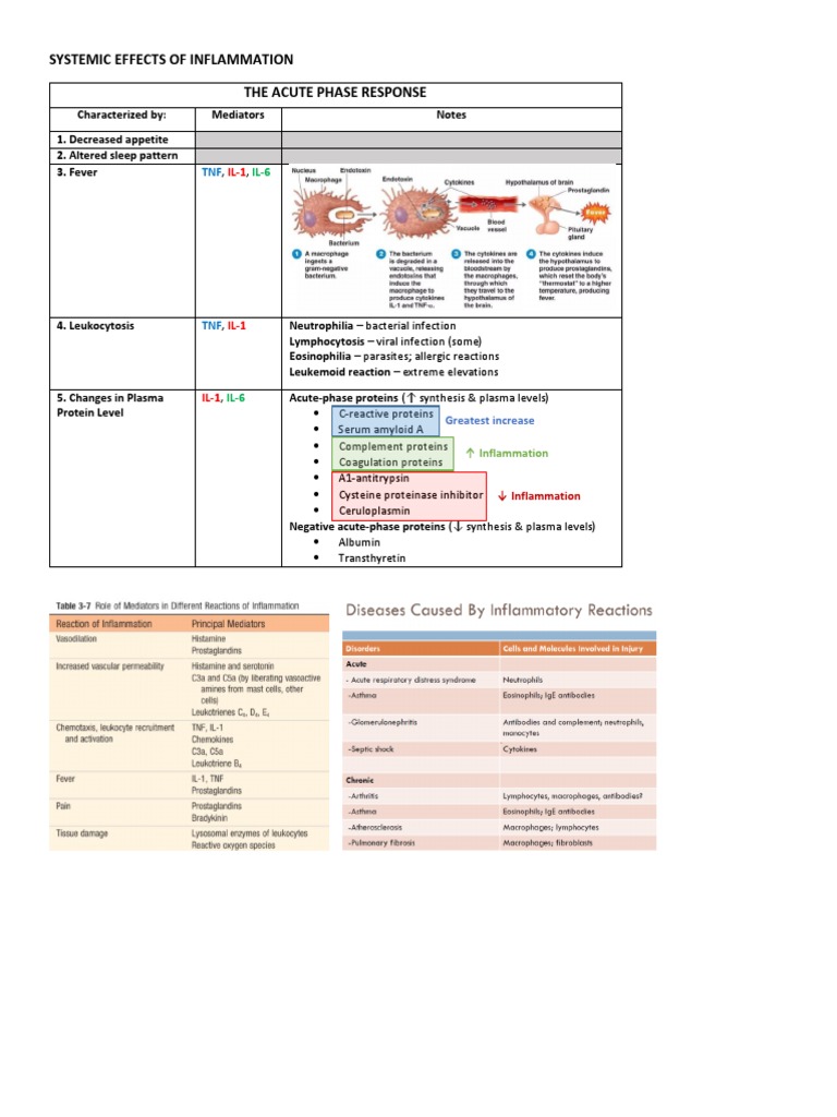 Systemic Effects of Inflammation The Acute Phase Response | PDF ...