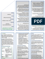 Triptico de La Evolucion de La Economia