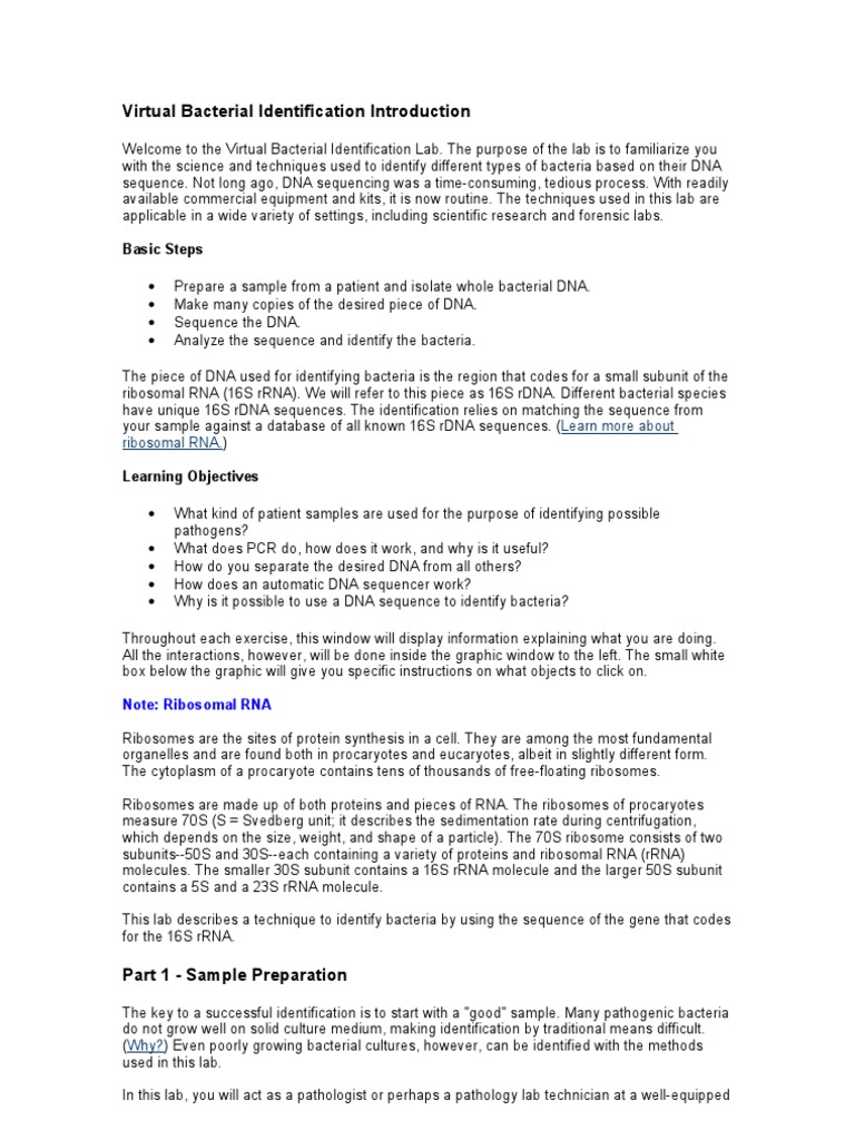 Virtual Bacterial Identification Introduction Primer Molecular Biology Polymerase Chain Reaction