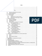 Memoria de Estudio Agrologico PMHH - Expe Tecnico