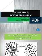 PERDARAHAN PASCA PERSALINAN