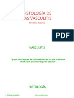 Histología de Las Vasculitis 2019