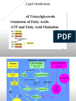 Curs 2 sem II lipide 2019.ppt