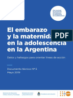 Dt.5 El Embarazo y La Maternidad en La Adolescencia en Argentina