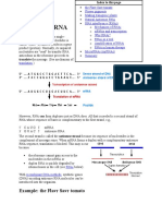 Antisense RNA: Example: The Flavr Savr Tomato