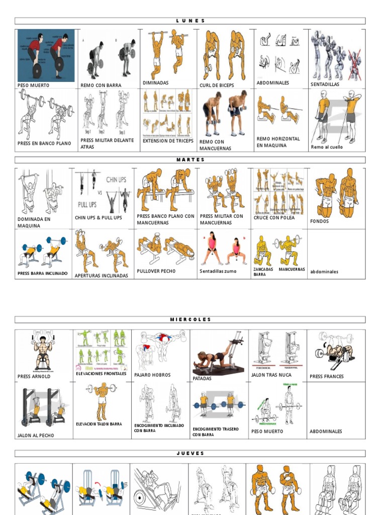 Rutina de gimnasio semanal completa | PDF | Entrenamiento con pesas ...