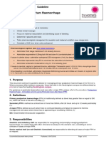Postpartum-Haemorrhage 220719 PDF