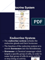 Endocrine Systemnew