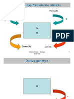 Biologia Evolutiva Aula 3 Deriva