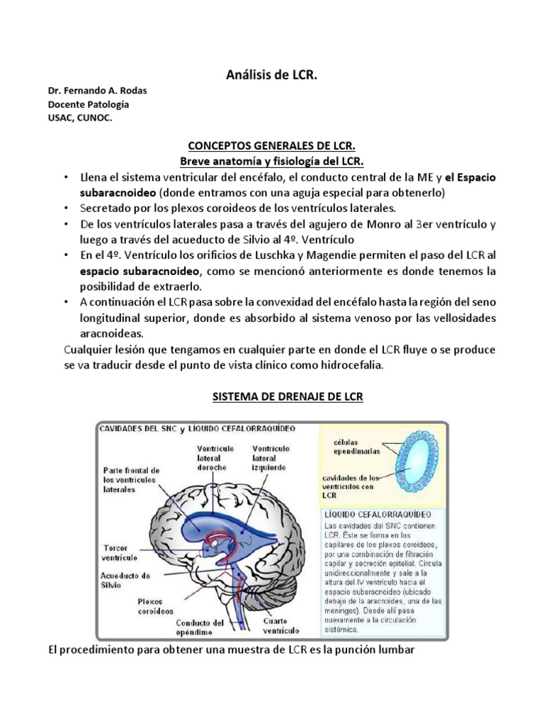 Análisis del Líquido Cefalorraquídeo | PDF | Fluido cerebroespinal ...