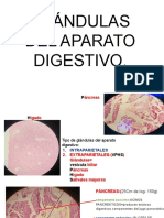 Histologia Hígado y Páncreas