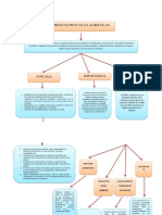 Mapa Conceptual Sobre BPA