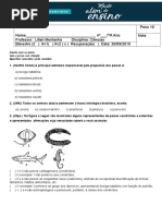 Av2 7º B 3º Bim 2019