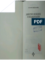 RAMÍREZ, Salvador v. - Derechos Humanos - Fundamentación