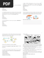 Revisão de Ciências Propriedades Do Ar