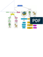 Autotrofos Mapa Conceptual