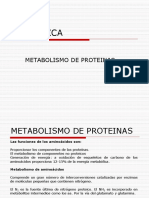 Metabolismo de Proteinas