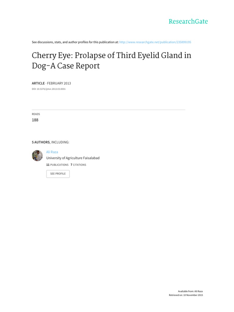 Cherry Eye Prolapse of Third Eyelid Gland in DogA Case Report PDF