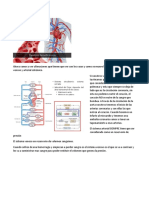 Hemodinamia