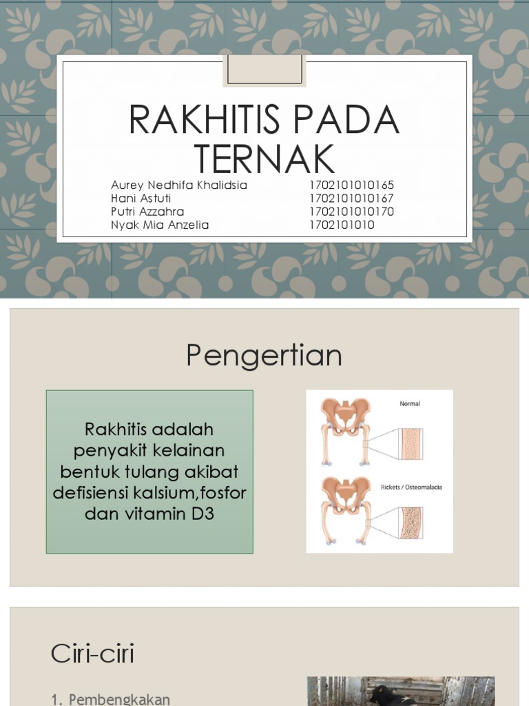 Rakhitis pada Ternak: Penyebab dan Pencegahan | PDF