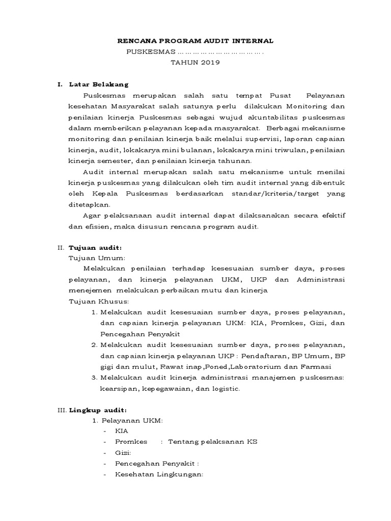 Rencana Audit Internal Puskesmas 2019 | PDF