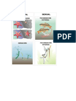 Fecundacion Interna y Externa PDF