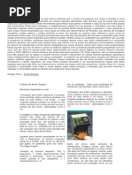 A Marca da Besta (i)