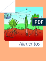 OS IMPACTOS DA PRODUÇÃO DE ALIIMENTOS.pdf