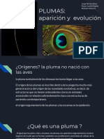 PLUMAS_  aparición y  evolución.pdf
