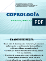 coprologa-examendeheces-140514222139-phpapp01(1).ppt