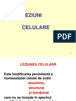 Leziuni Celulare