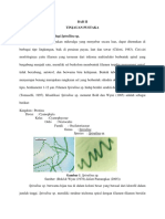 Klasifikasi Dan Morfologi Spirullina Sp.